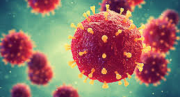 covid 19 virus